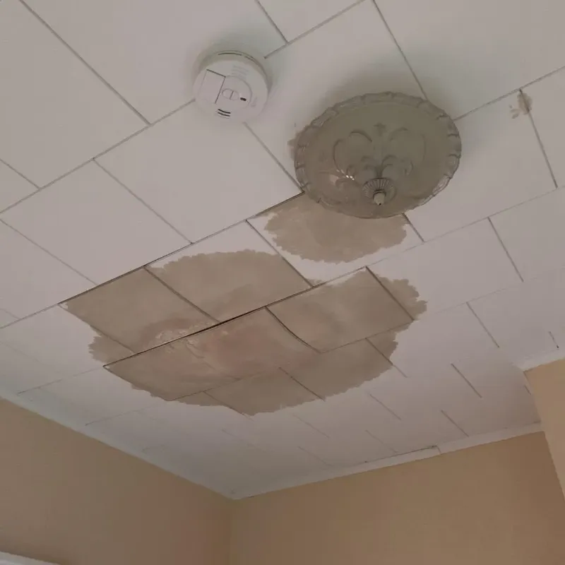 Ceiling Water Damage Repair in Cerro Gordo County, IA