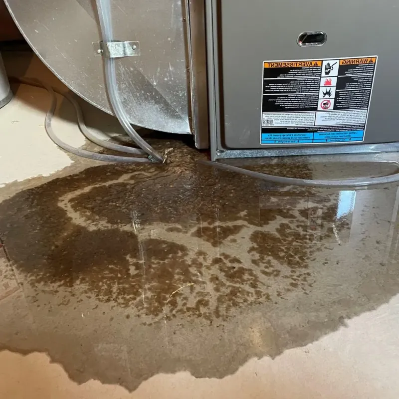 Pipe Burst and Leak Restoration in Cerro Gordo County, IA