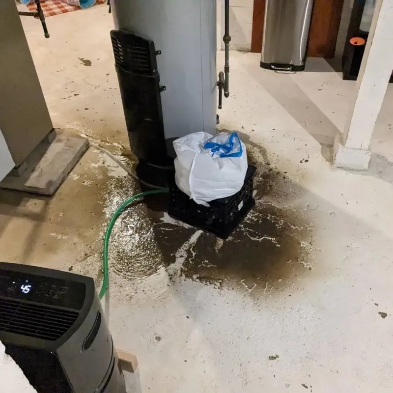 Sewage Backup Cleanup Service in Cerro Gordo County, IA